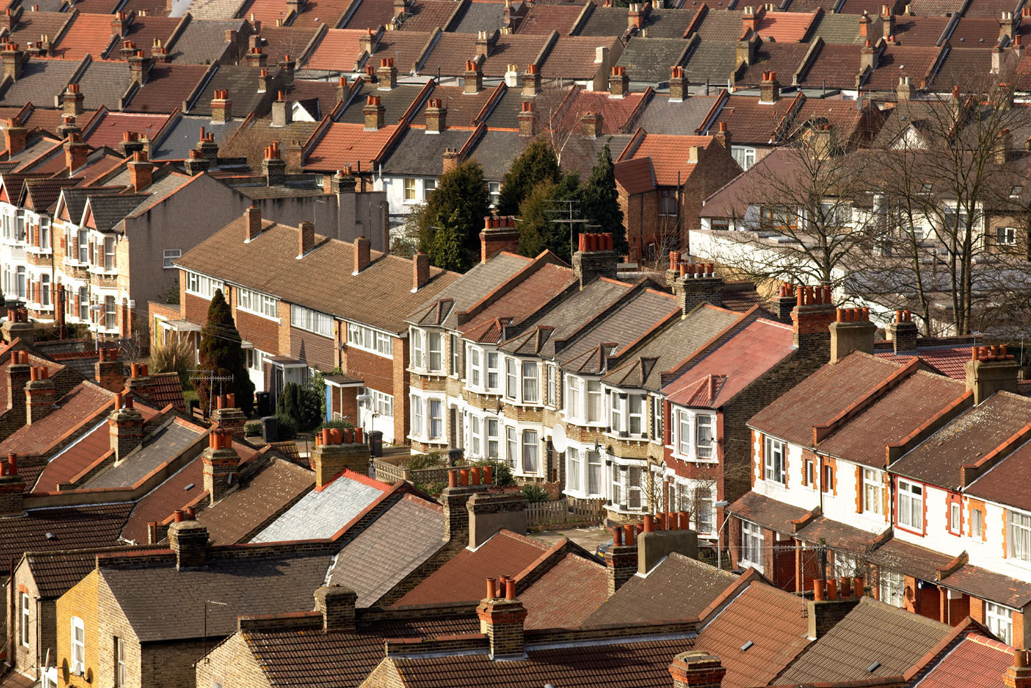 Row of typical houses in a street